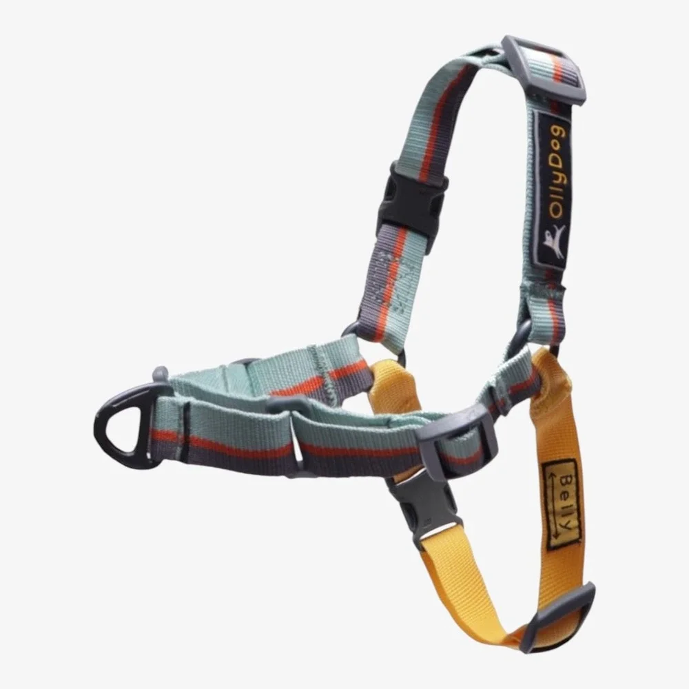 OllyDog Essential Dog Harness Surf Green Orange Yellow Size Medium